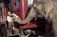 Voda pre slony (Water for Elephants, 2011)